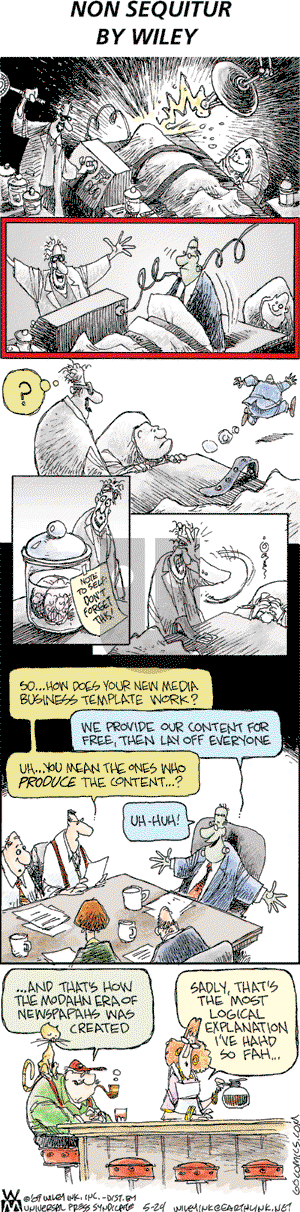 Non Sequitur on Sunday May 24, 2009 Comic Strip