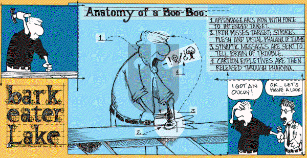 Barkeater Lake on Sunday February 5, 2012 Comic Strip