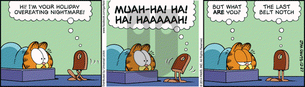 Garfield on Saturday December 27, 2014 Comic Strip