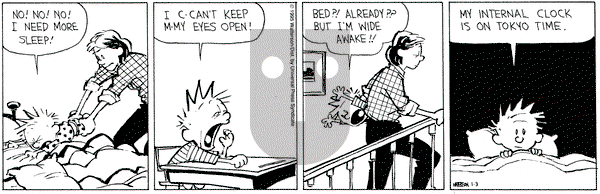 Calvin and Hobbes on Tuesday January 3, 1995 Comic Strip
