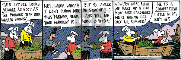Overboard on Wednesday July 8, 2020 Comic Strip