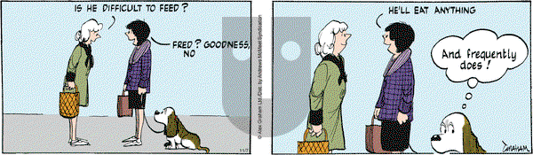 Fred Basset on Friday November 7, 2025 Comic Strip