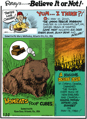 Ripley's Believe It or Not on Thursday December 2, 2010 Comic Strip