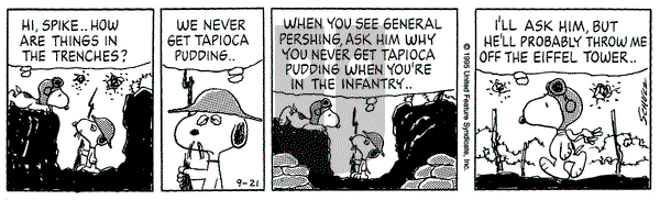 Peanuts on Thursday September 21, 1995 Comic Strip