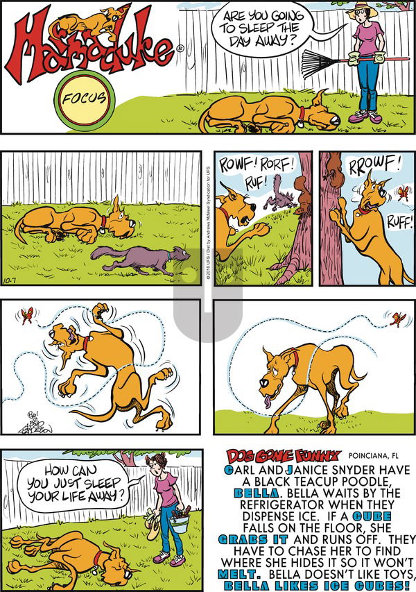 Marmaduke on Sunday October 7, 2018 Comic Strip