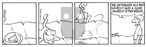 Arlo and Janis on Saturday May 31, 1997 Comic Strip