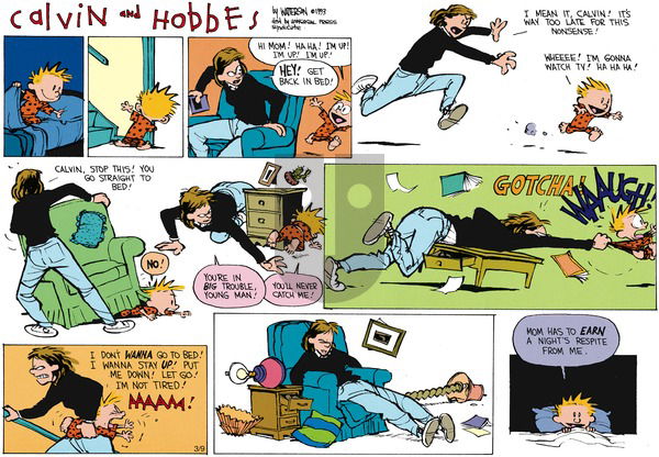 Calvin and Hobbes on Sunday April 25, 1993 Comic Strip