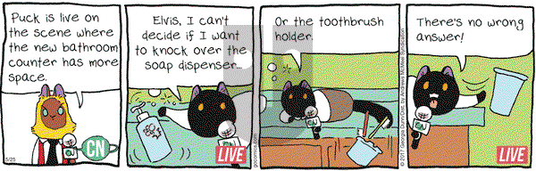 Breaking Cat News on Thursday May 25, 2017 Comic Strip