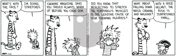 Calvin and Hobbes on Tuesday April 22, 2025 Comic Strip