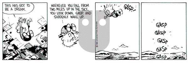 Calvin and Hobbes on Monday July 11, 1988 Comic Strip