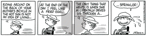 Peanuts on Tuesday August 22, 1978 Comic Strip