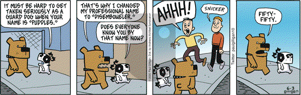 Pooch Cafe - Wednesday June 3, 2020 Comic Strip