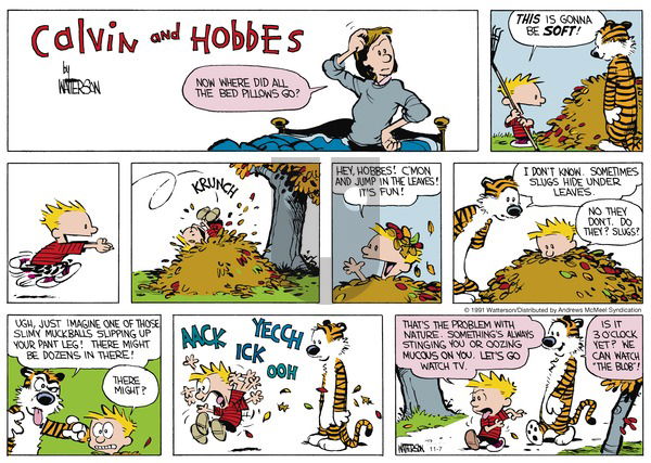 Calvin and Hobbes - Sunday November 7, 2021 Comic Strip