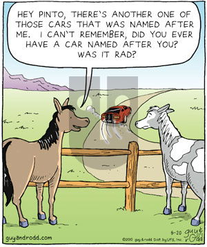 Brevity on Thursday May 20, 2010 Comic Strip