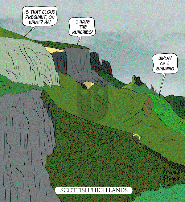 Yaffle - Monday July 29, 2024 Comic Strip
