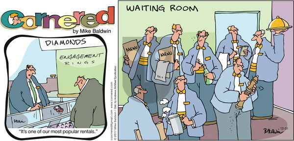 Cornered on Sunday December 31, 2017 Comic Strip