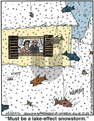Close to Home on Monday December 20, 2010 Comic Strip