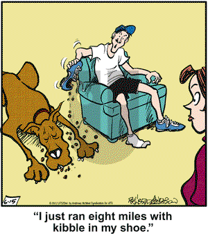 Marmaduke on Wednesday June 15, 2022 Comic Strip