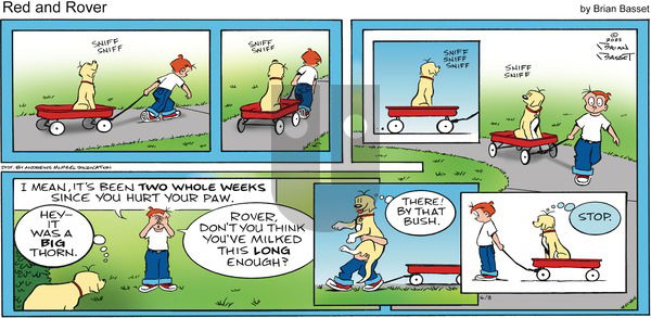 Red and Rover on Sunday June 8, 2025 Comic Strip