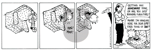Calvin and Hobbes on Monday November 20, 1989 Comic Strip