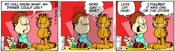 Garfield on Thursday June 11, 1998 Comic Strip