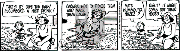 Rose is Rose on Tuesday August 11, 1987 Comic Strip