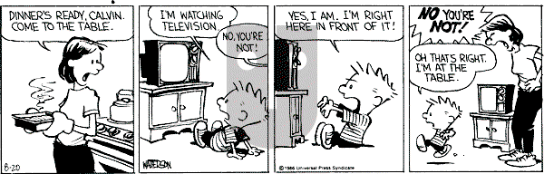 Calvin and Hobbes - Wednesday August 20, 1986 Comic Strip