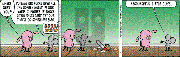 Pearls Before Swine on Tuesday June 17, 2014 Comic Strip