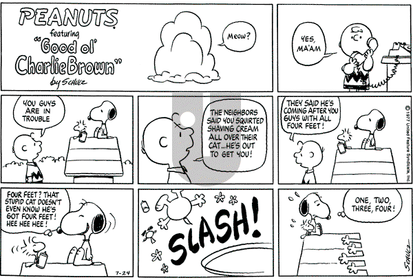 Peanuts - Sunday July 24, 1977 Comic Strip