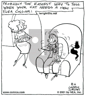 Kit 'N' Carlyle on Friday April 6, 2001 Comic Strip