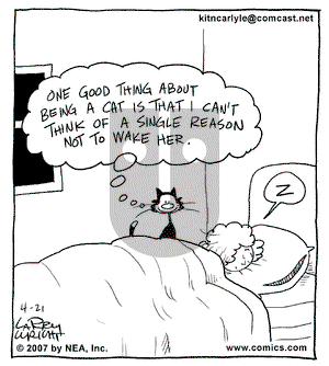 Kit 'N' Carlyle on Saturday April 21, 2007 Comic Strip