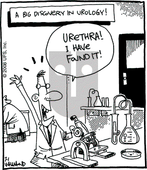Reality Check on Tuesday July 1, 2008 Comic Strip