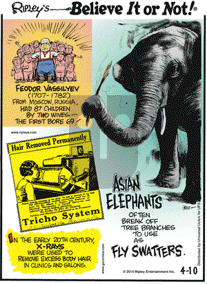 Ripley's Believe It or Not on Thursday April 10, 2014 Comic Strip