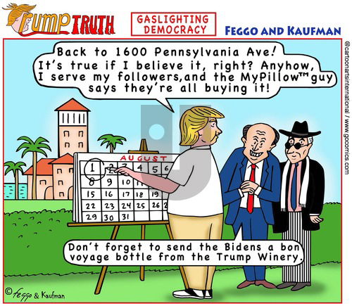 ViewsBusiness on Sunday June 6, 2021 Comic Strip