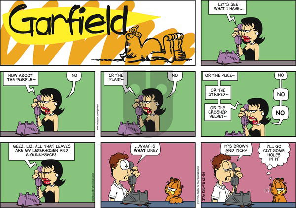 Garfield on Sunday December 30, 2012 Comic Strip