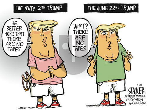 Jeff Stahler on Sunday June 25, 2017 Comic Strip