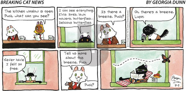 Breaking Cat News on Sunday July 9, 2017 Comic Strip