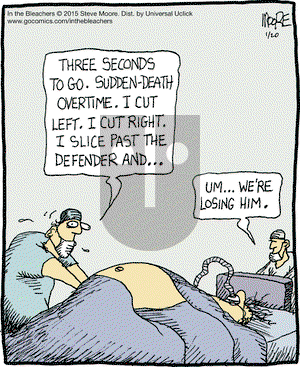 In the Bleachers on Tuesday January 20, 2015 Comic Strip