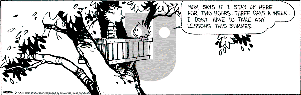 Calvin and Hobbes - Friday July 30, 1993 Comic Strip