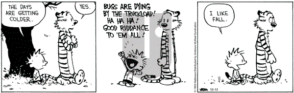 Calvin and Hobbes - Friday October 13, 2023 Comic Strip
