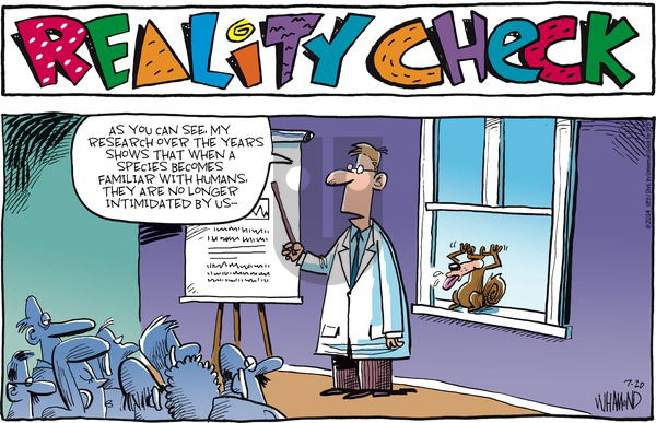 Reality Check on Sunday July 20, 2014 Comic Strip