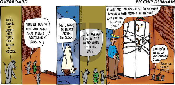 Overboard on Sunday April 11, 2010 Comic Strip