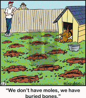 Marmaduke on Thursday June 2, 2016 Comic Strip