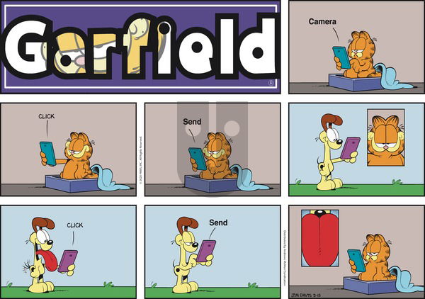 Garfield on Sunday March 15, 2020 Comic Strip