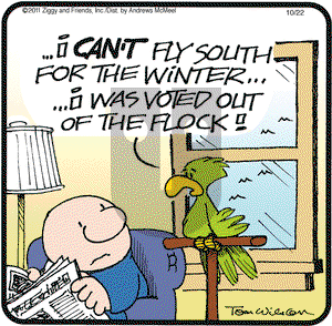 Ziggy - Friday October 22, 2021 Comic Strip