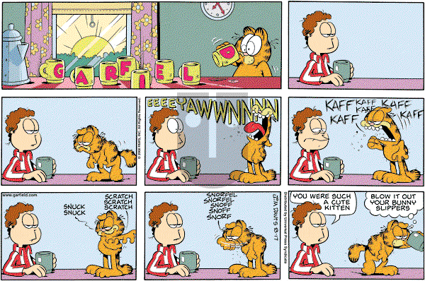 Garfield on Sunday August 17, 2008 Comic Strip