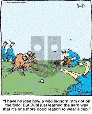 In the Bleachers - Friday May 16, 2008 Comic Strip