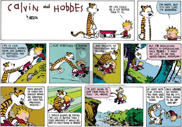 Calvin and Hobbes - Sunday June 7, 2020 Comic Strip