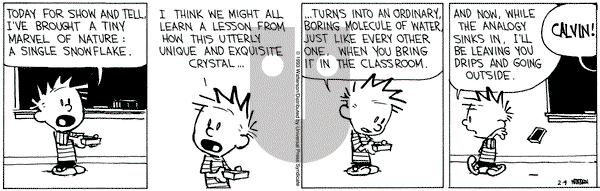 Calvin and Hobbes on Thursday February 4, 1993 Comic Strip