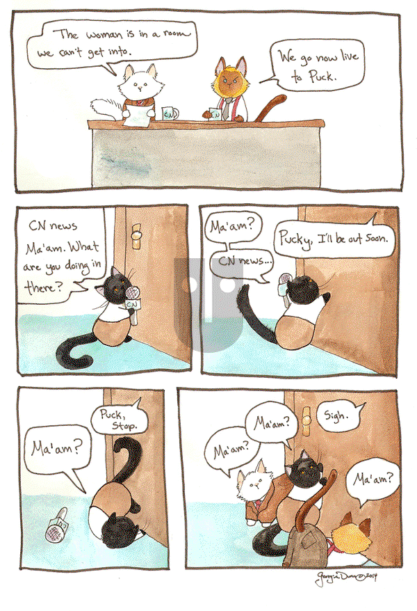 Breaking Cat News on Monday December 1, 2014 Comic Strip
